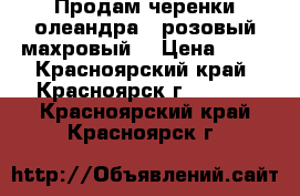 Продам черенки олеандра ( розовый,махровый) › Цена ­ 70 - Красноярский край, Красноярск г.  »    . Красноярский край,Красноярск г.